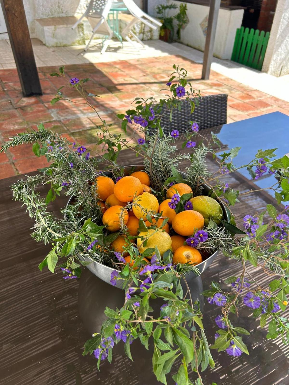 Casa Rural Tita Sacramento Hornachos エクステリア 写真
