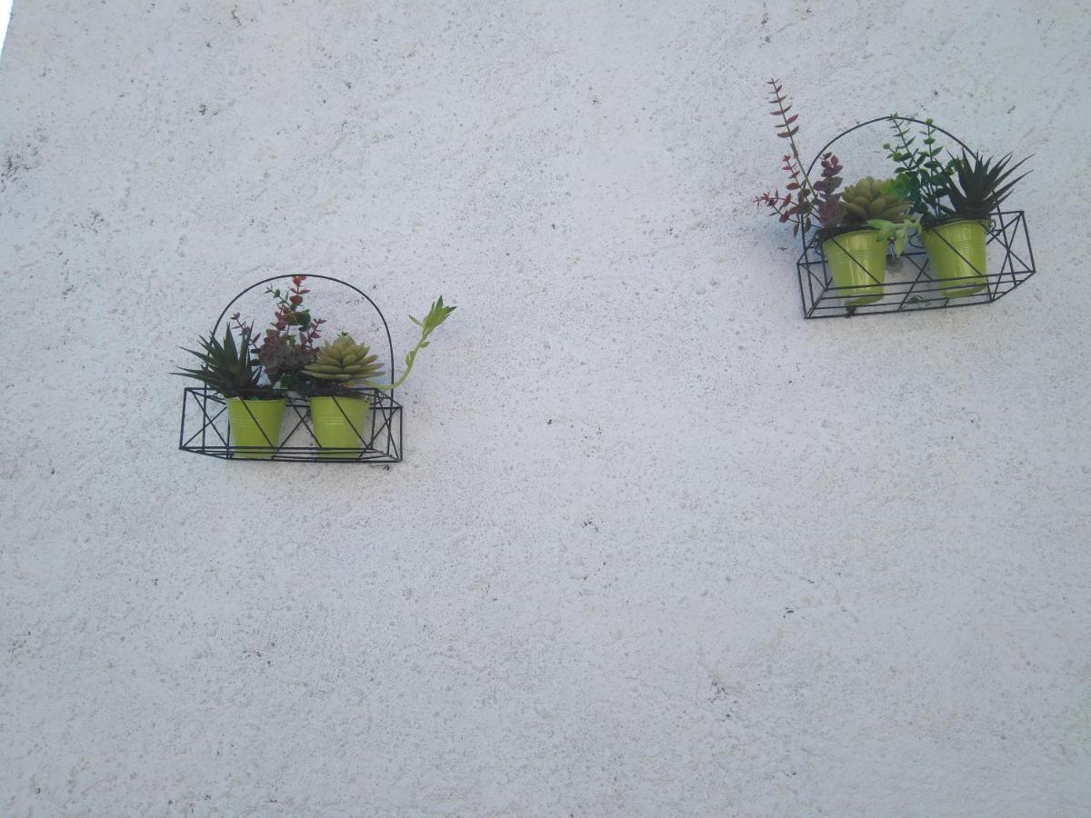 Casa Rural Tita Sacramento Hornachos エクステリア 写真